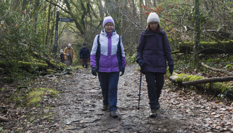 Photograph of Walking Route - Image 15