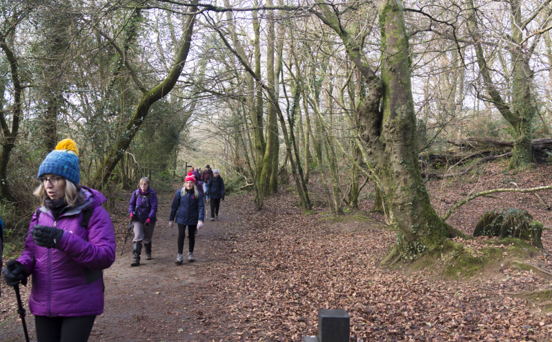 Photograph of Walking Route - Image 16