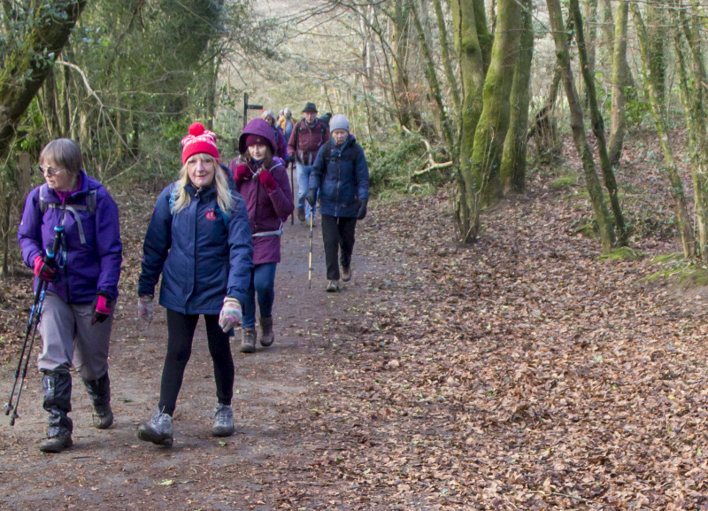 Photograph of Walking Route - Image 17