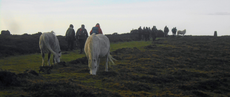 Photograph of Walking Route - Image 4