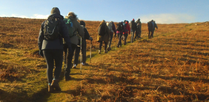Photograph of Walking Route - Image 13