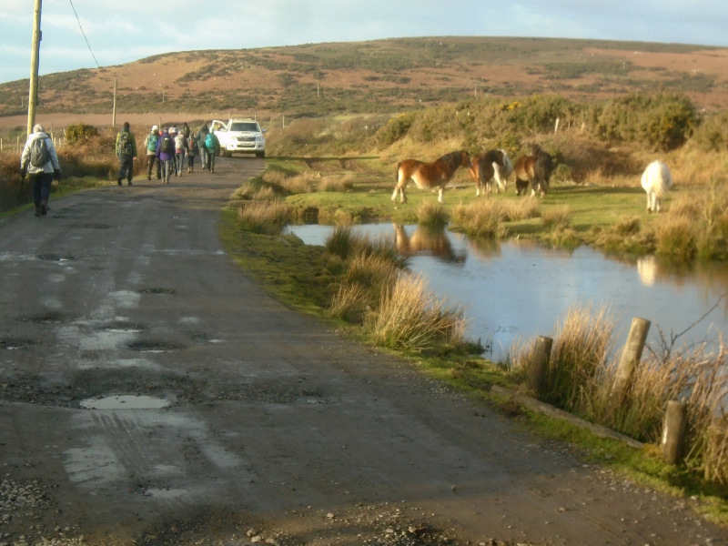 Photograph of Walking Route - Image 22