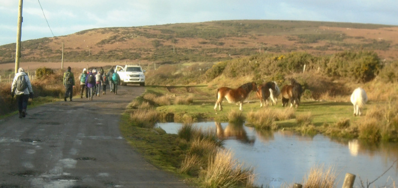 Photograph of Walking Route - Image 23