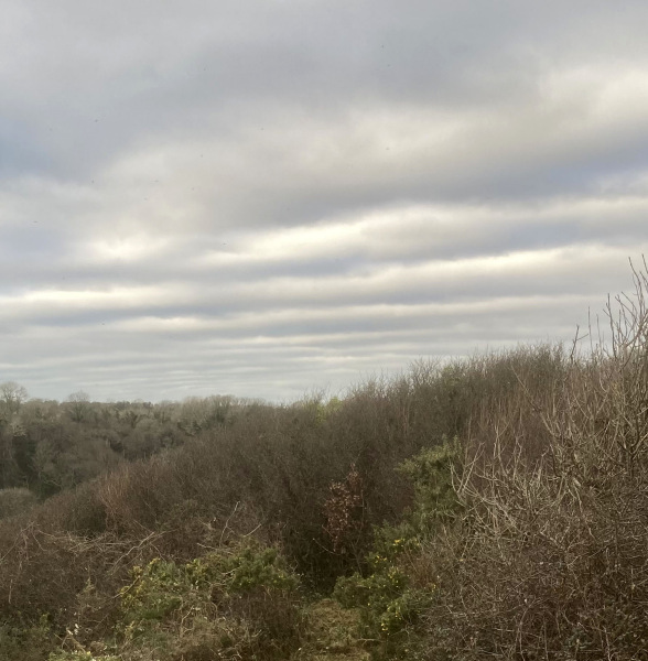 Photograph of Walking Route - Image 4