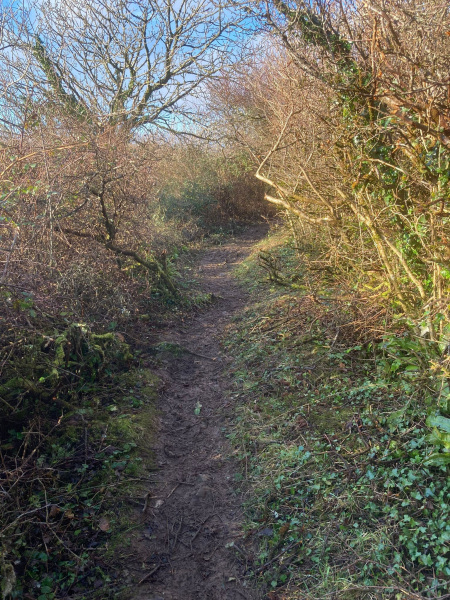 Photograph of Walking Route - Image 8