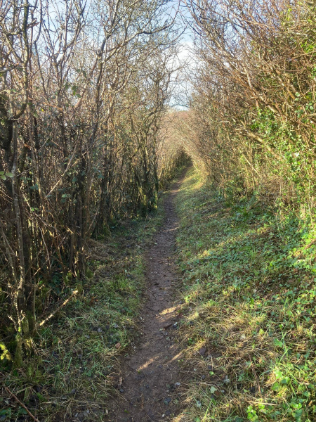 Photograph of Walking Route - Image 9