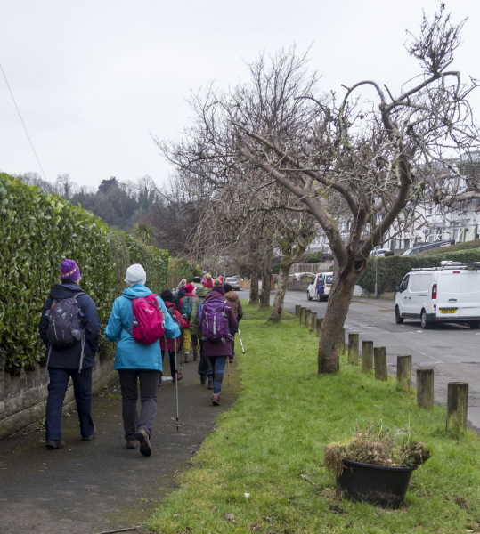 Photograph of Walking Route - Image 5