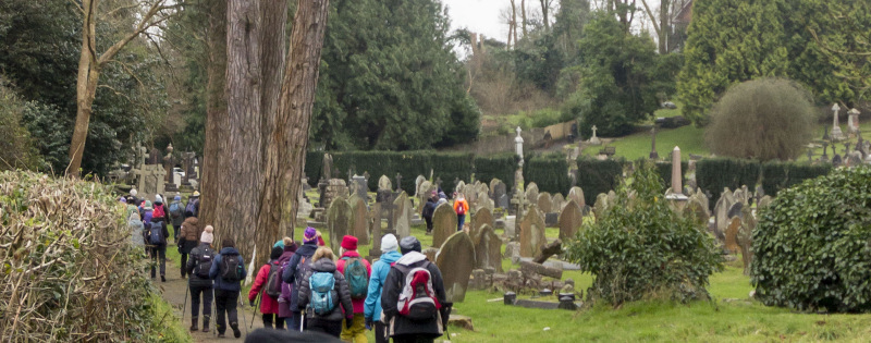 Photograph of Walking Route - Image 7