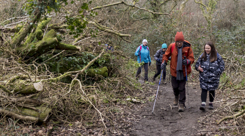 Photograph of Walking Route - Image 27
