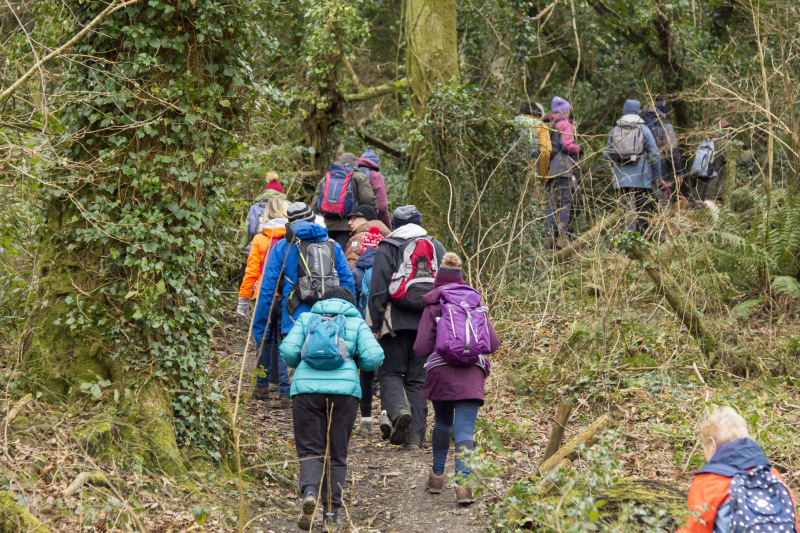 Photograph of Walking Route - Image 28