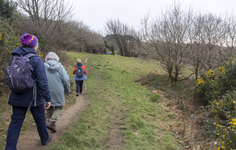 Photograph of Walking Route - Image 29