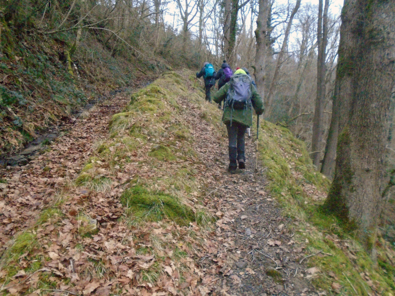 Photograph of Walking Route - Image 1