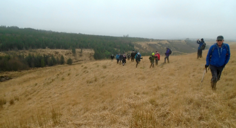 Photograph of Walking Route - Image 4