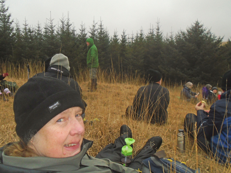 Photograph of Walking Route - Image 5