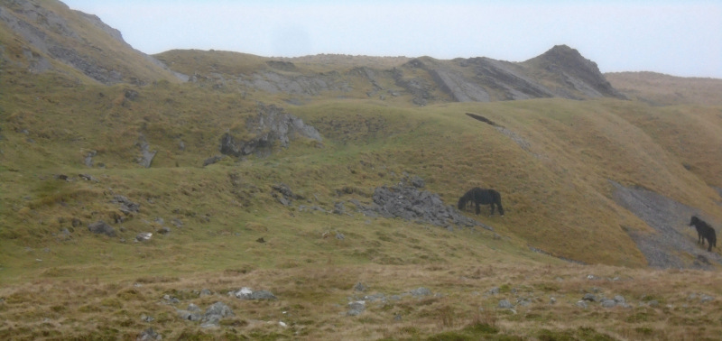 Photograph of Walking Route - Image 8