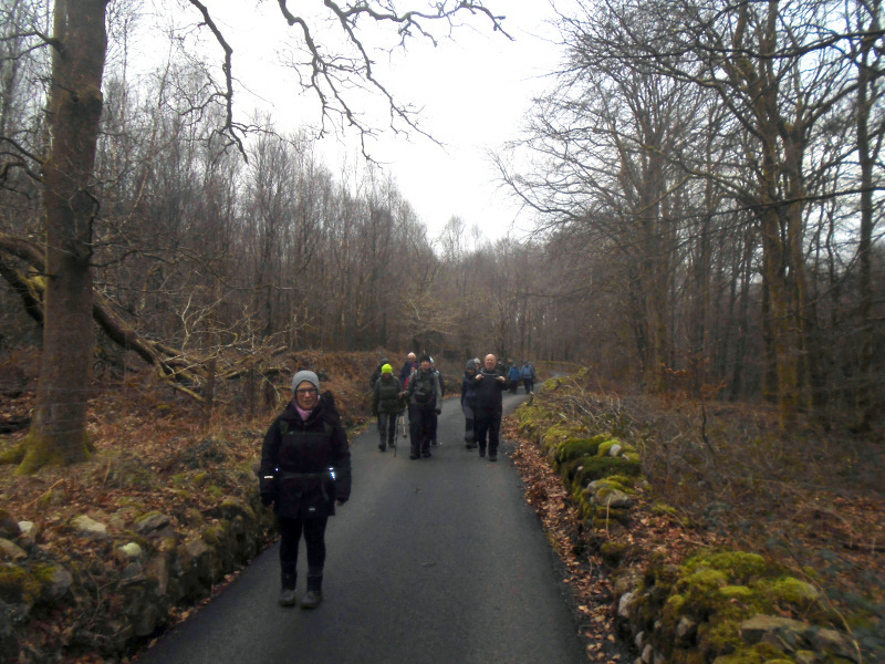 Photograph of Walking Route - Image 18