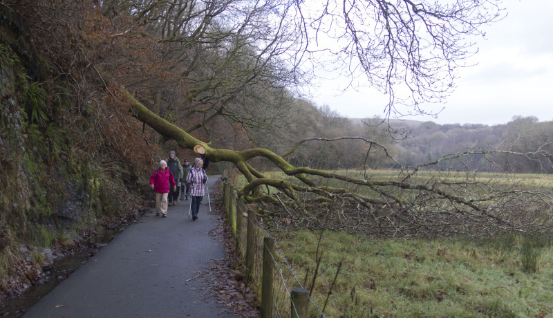 Photograph of Walking Route - Image 6