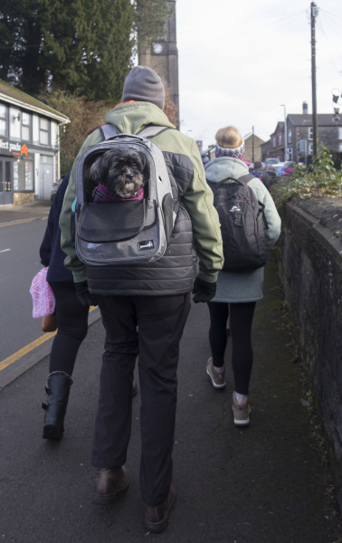 Photograph of Walking Route - Image 19