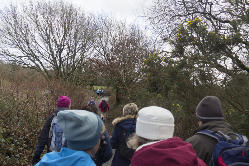 Photograph of Walking Route - Image 37