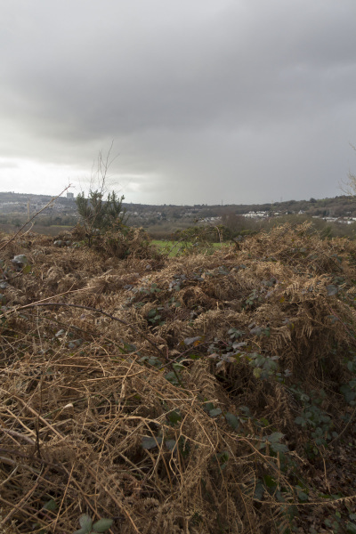 Photograph of Walking Route - Image 38