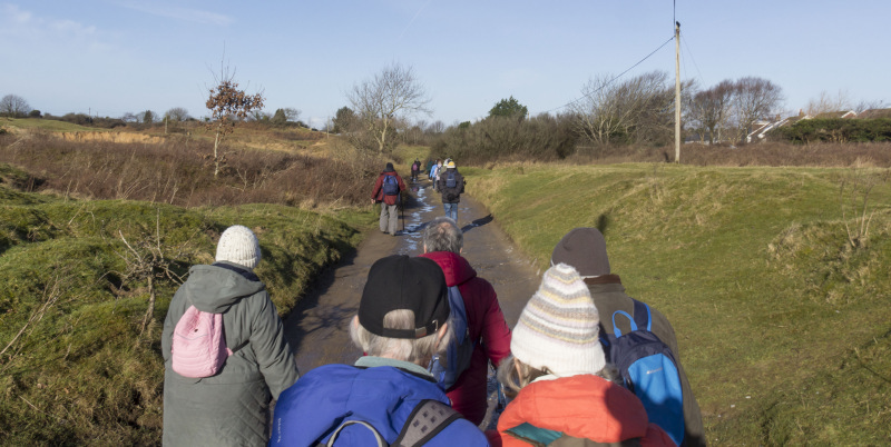 Photograph of Walking Route - Image 4