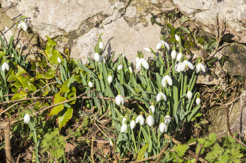 Photograph of Walking Route - Image 34