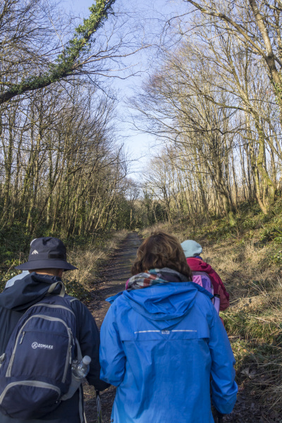 Photograph of Walking Route - Image 7