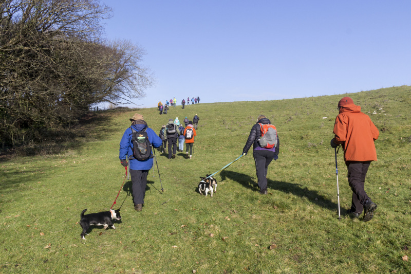 Photograph of Walking Route - Image 11