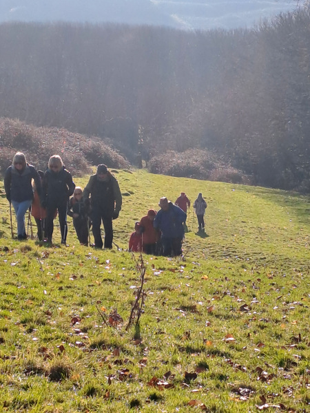 Photograph of Walking Route - Image 12