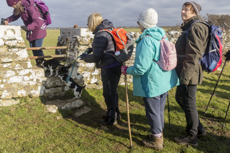 Photograph of Walking Route - Image 22