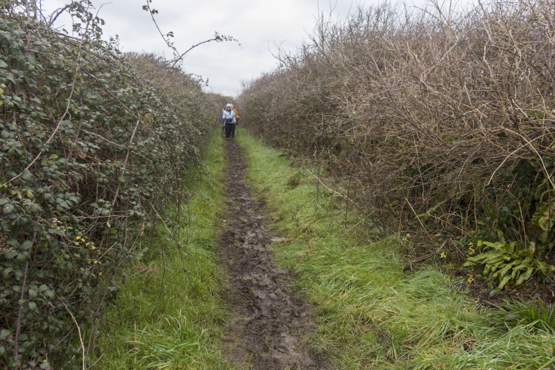 Photograph of Walking Route - Image 25