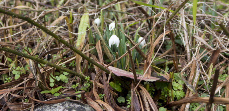 Photograph of Walking Route - Image 41