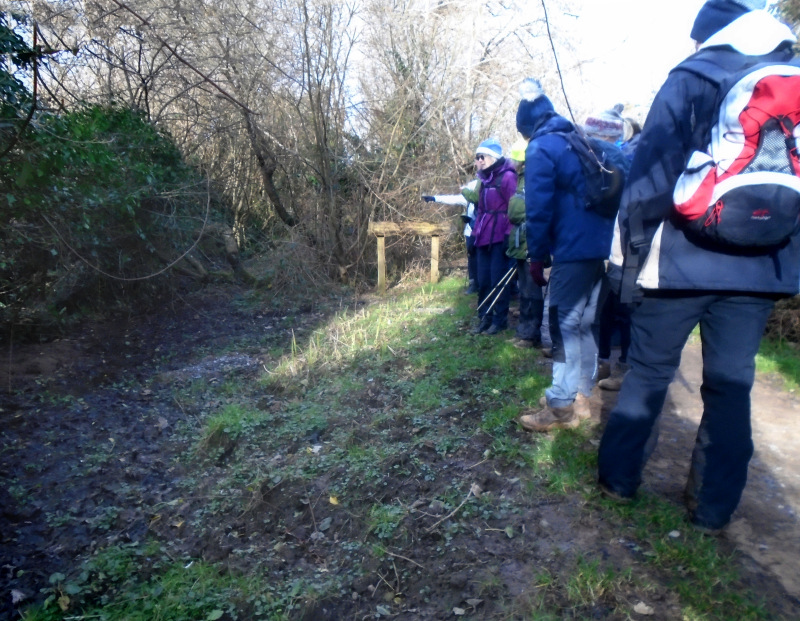 Photograph of Walking Route - Image 6