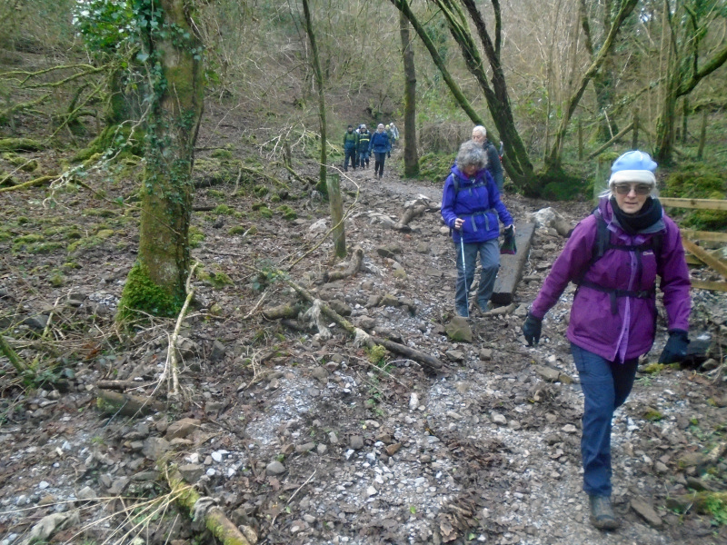 Photograph of Walking Route - Image 7