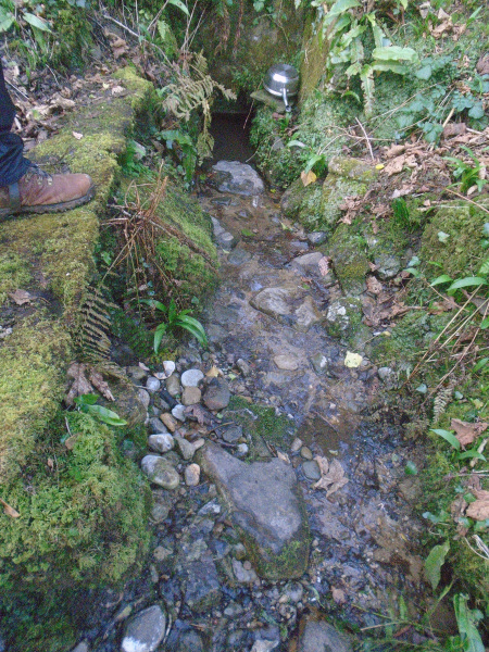 Photograph of Walking Route - Image 13