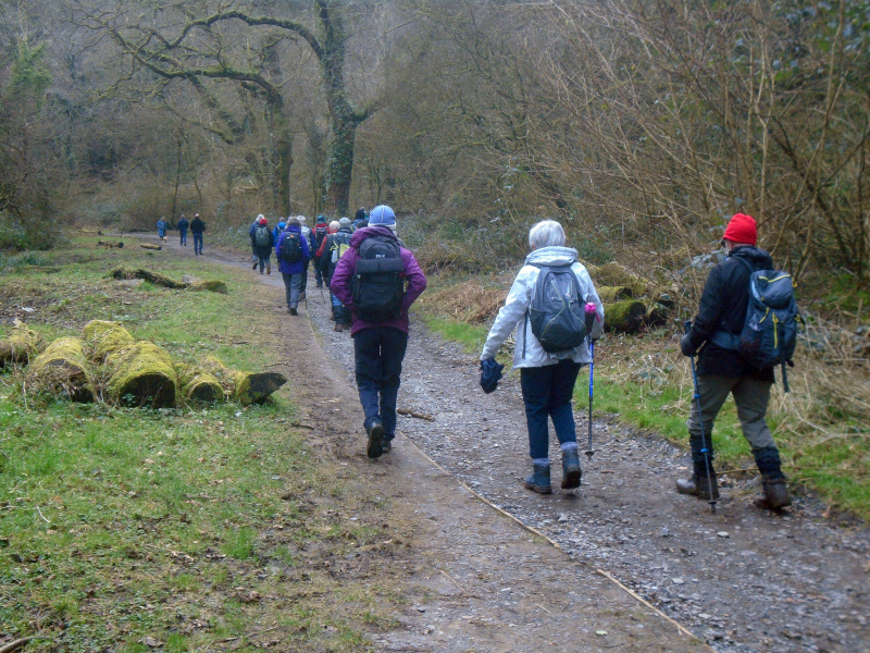 Photograph of Walking Route - Image 16