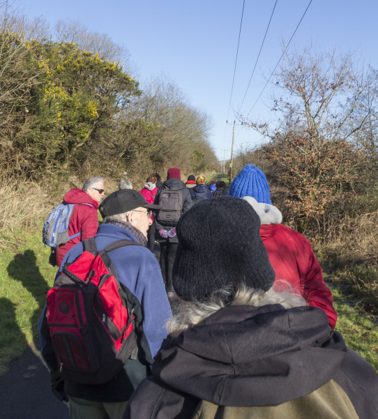 Photograph of Walking Route - Image 2