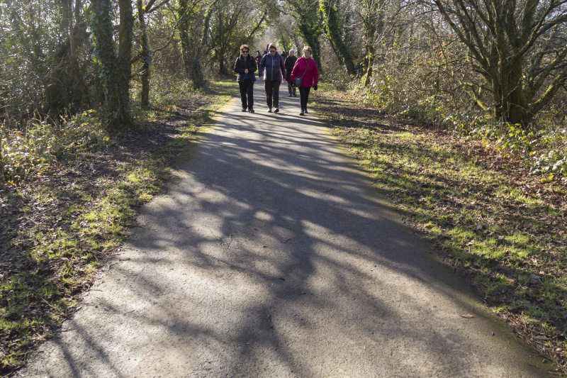 Photograph of Walking Route - Image 4