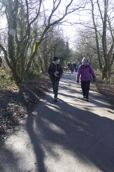 Photograph of Walking Route - Image 5