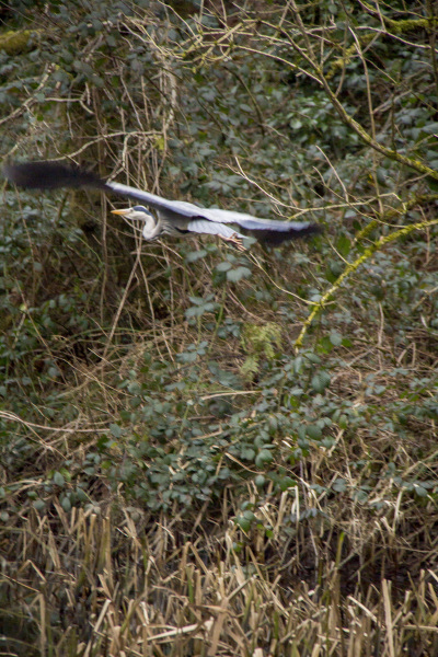 Photograph of Walking Route - Image 11