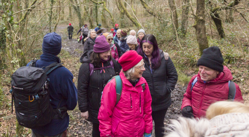 Photograph of Walking Route - Image 15