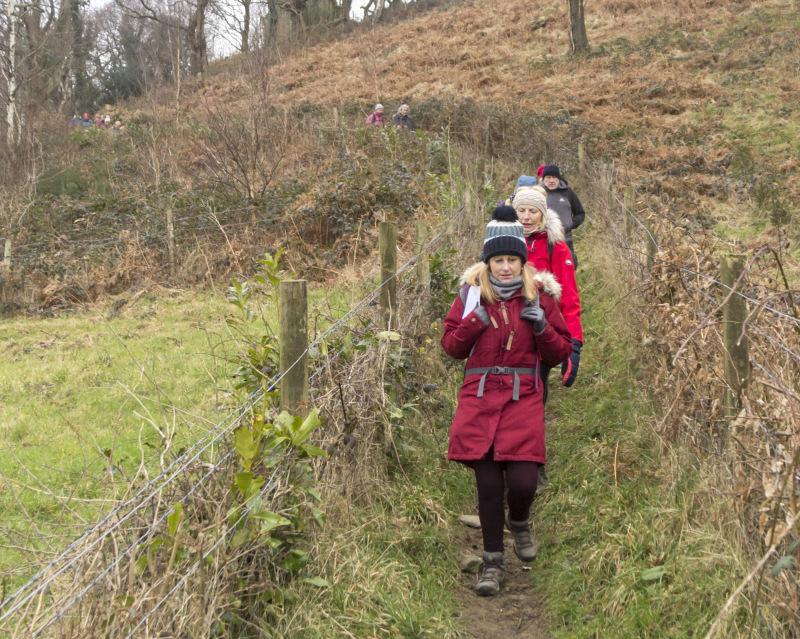Photograph of Walking Route - Image 18