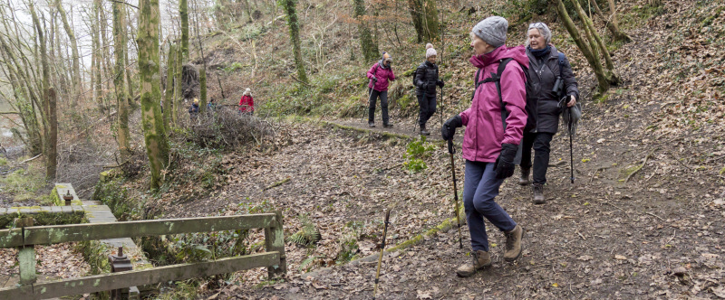 Photograph of Walking Route - Image 21