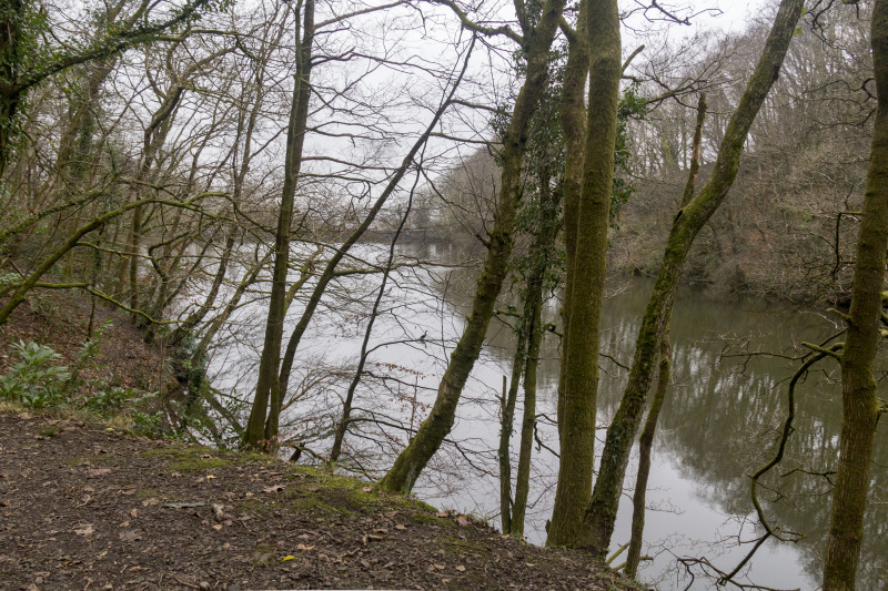Photograph of Walking Route - Image 24