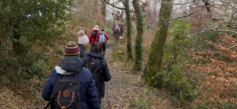Photograph of Walking Route - Image 26