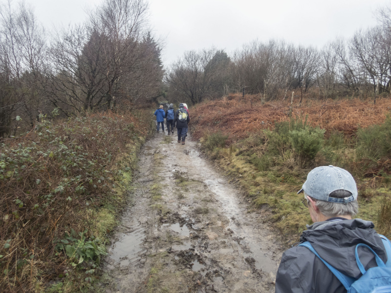 Photograph of Walking Route - Image 5