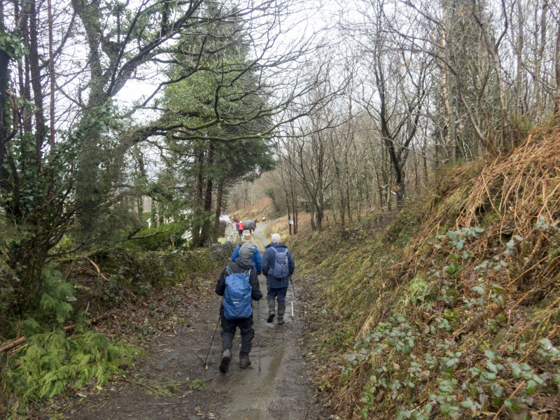 Photograph of Walking Route - Image 6