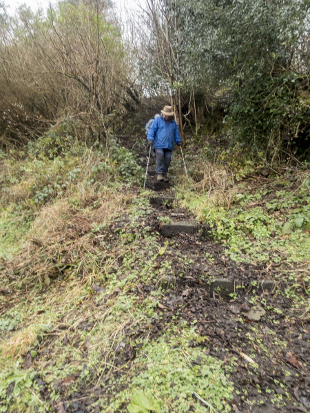 Photograph of Walking Route - Image 11
