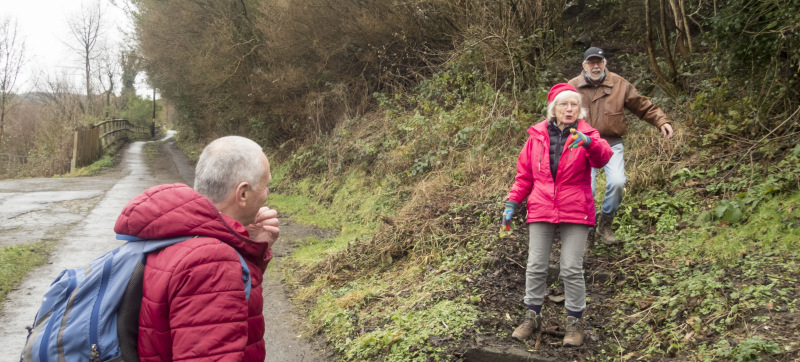 Photograph of Walking Route - Image 12
