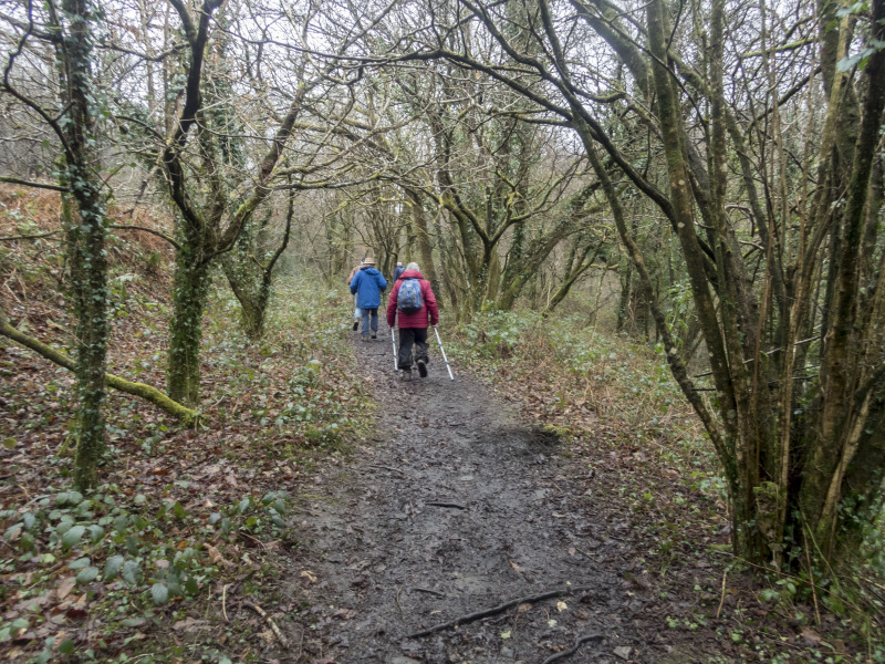 Photograph of Walking Route - Image 13